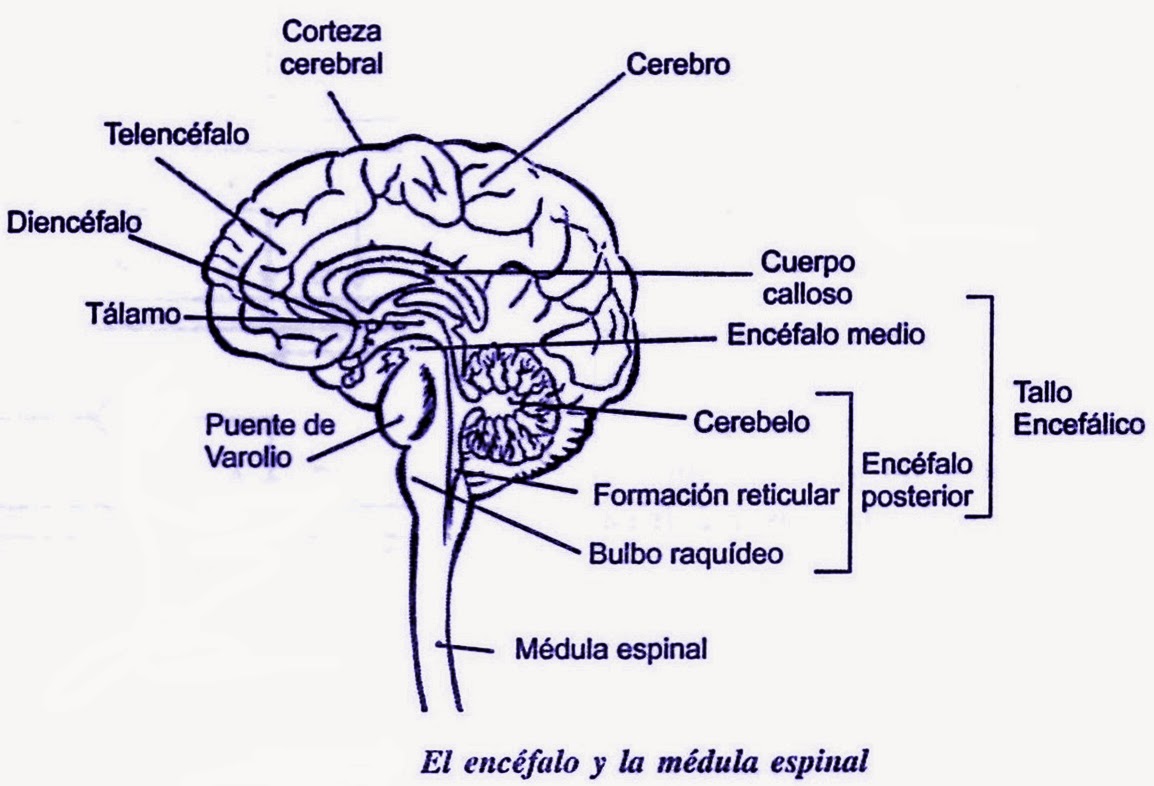 Ver las imágenes de origen